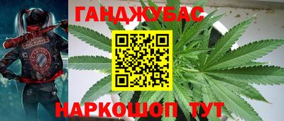 индика Коммунар