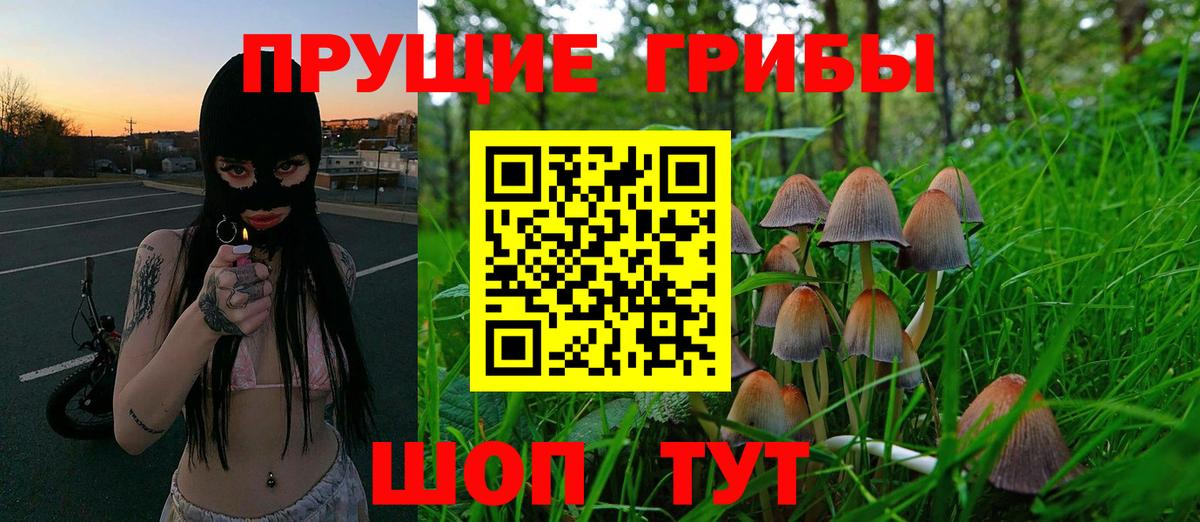 Псилоцибиновые грибы прущие грибы Клин