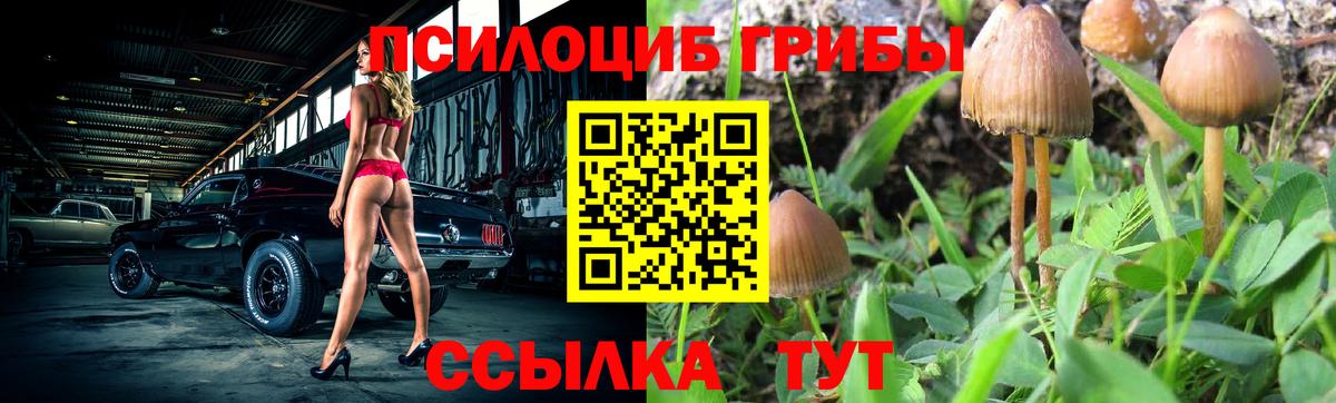 Псилоцибиновые грибы Magic Shrooms  Вход с VPN  где найти наркотики  Галлюциногенные грибы GOLDEN TEACHER  Клин 